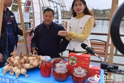 智囊論道公園社區，雙流黃水鎮打造宜業宜居新典范