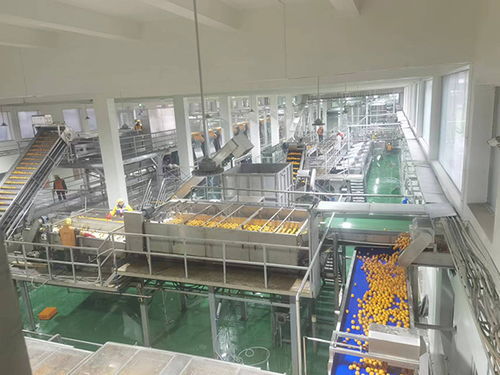 農發行忠縣支行加大農業科技投放力度，助力企業高質量發展